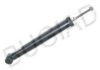 BUGIAD BSP22118 Shock Absorber